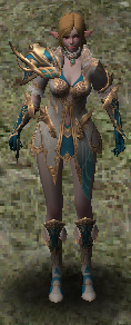 More information about "Dark Elf(Wood Elf)"
